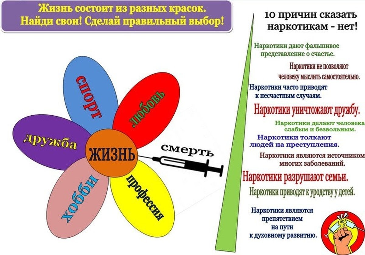 WhatsApp Image 2025 01 09 at 14.13.11
